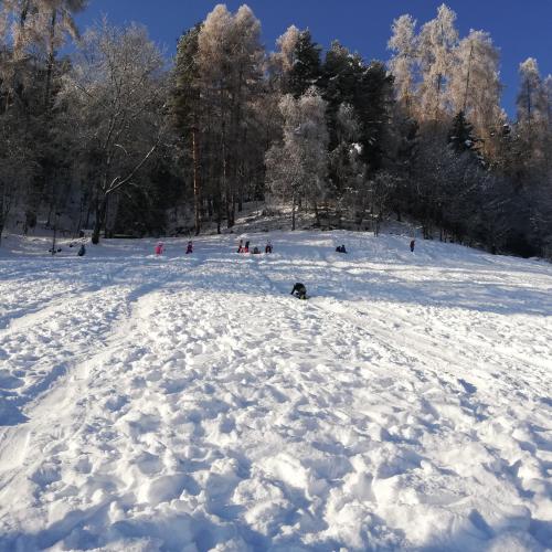 Kinder im Schnee