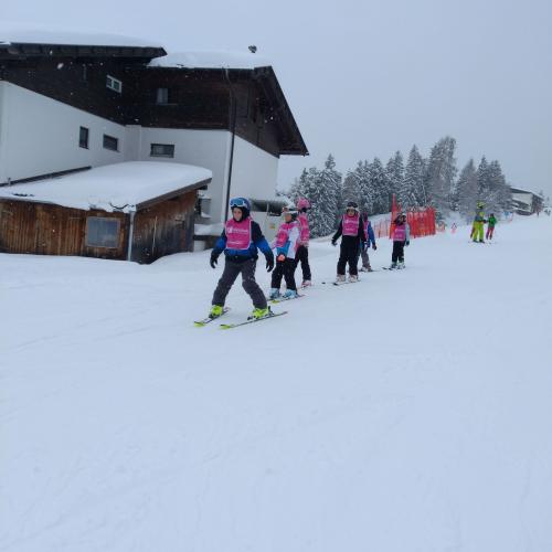 Schikurs