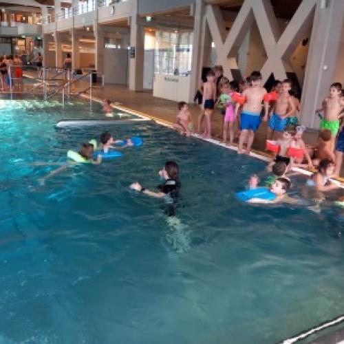 Schwimmen