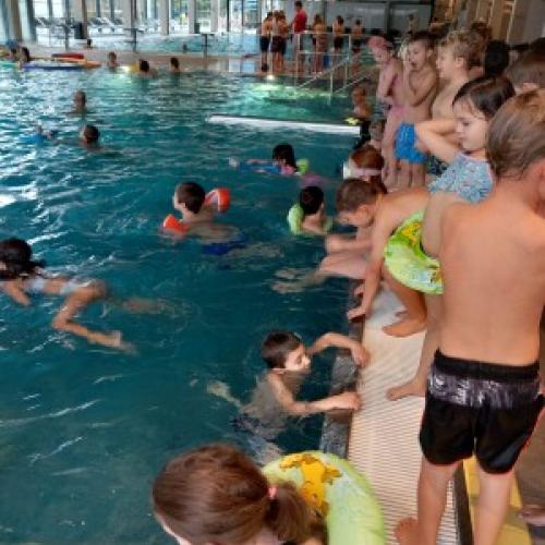 Schwimmen
