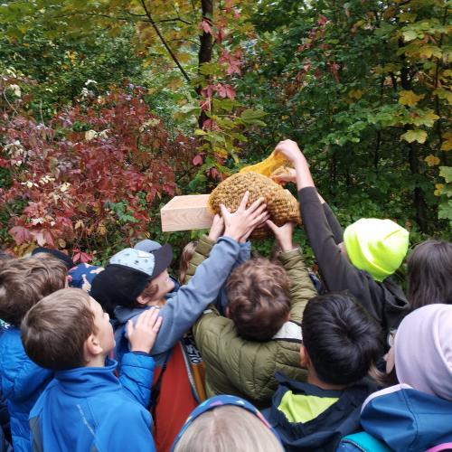 Waldtag