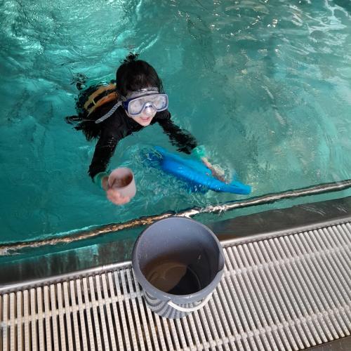 Schwimmen