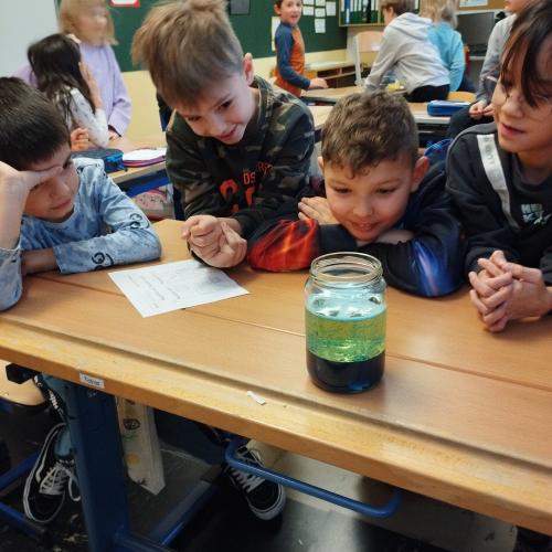 Forscherprojekt