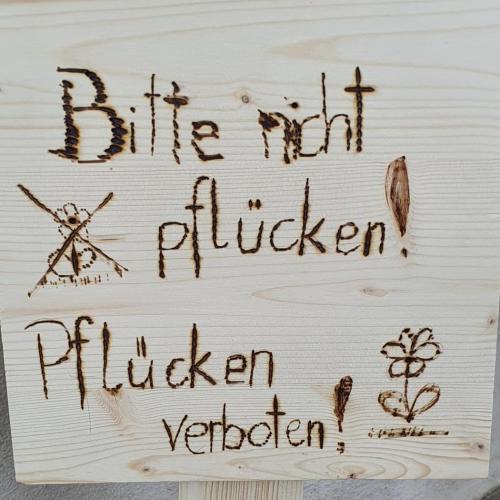 Frühlingsboten