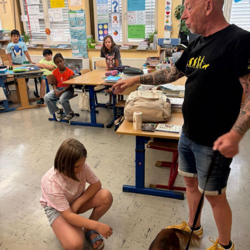 Hundetrainer