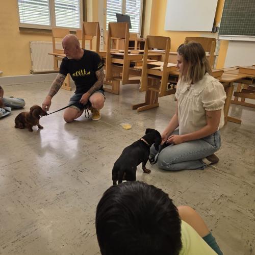 Hundetrainer
