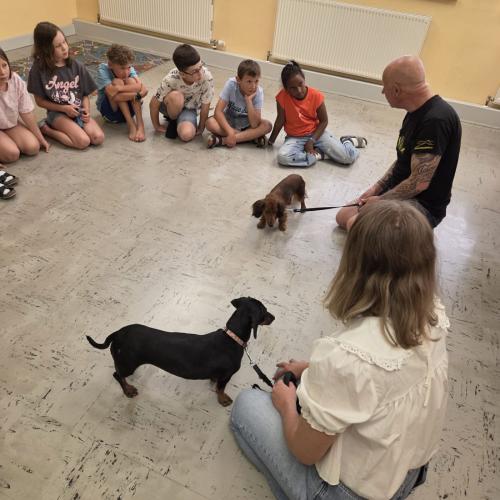 Hundetrainer