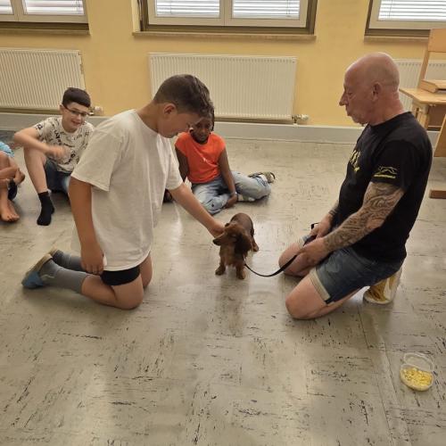 Hundetrainer